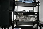 IMG_6303.JPG