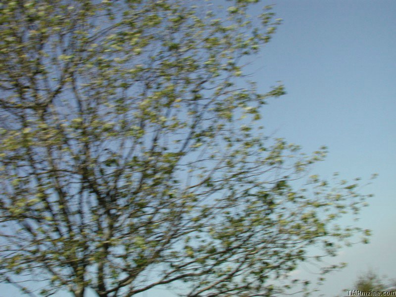 DSCN2468.JPG