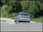 DSCN2494.JPG