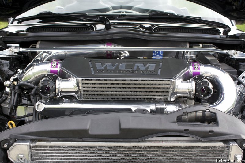 large5.jpg