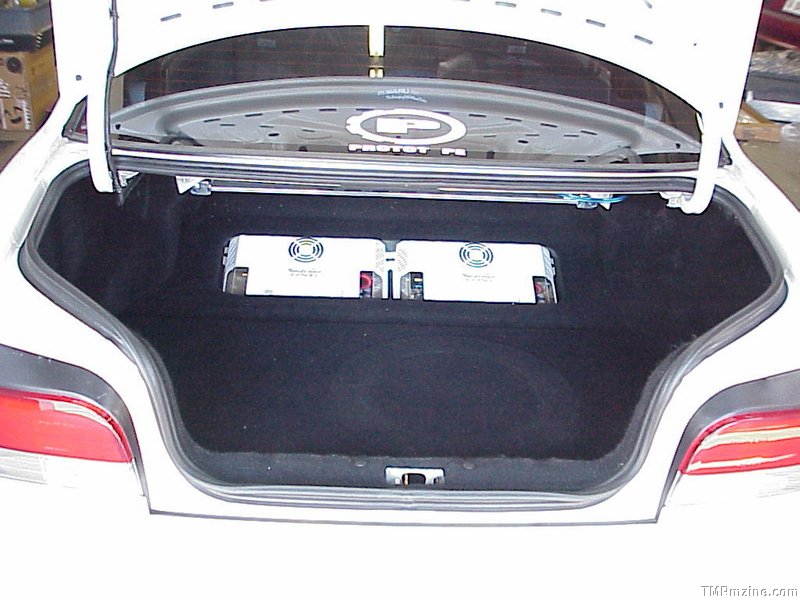 trunk shot.jpg
