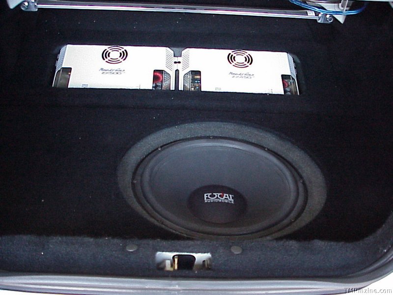 trunkshot 1.jpg