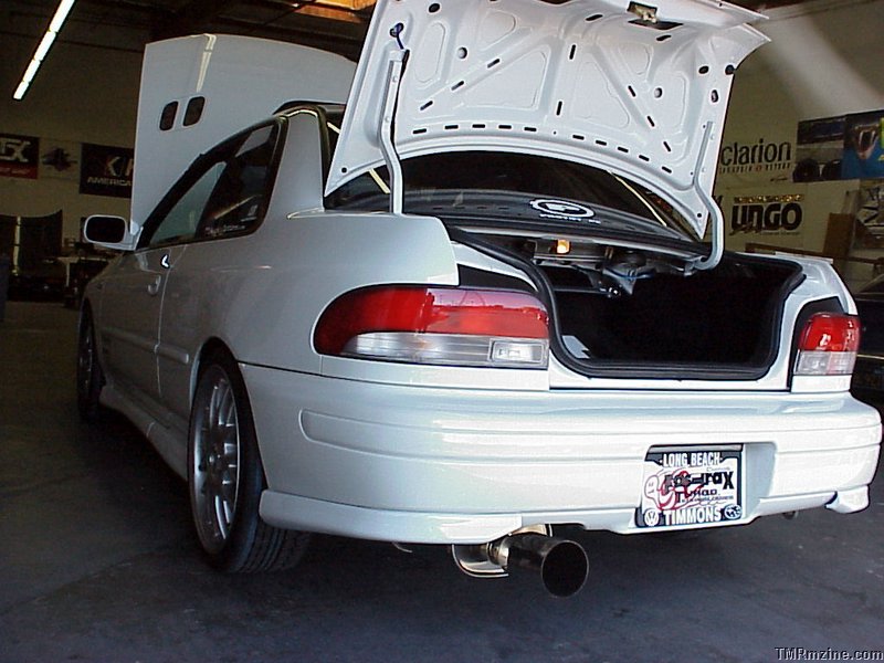 trunkshot 3.jpg