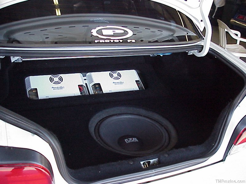 trunkshot2.jpg