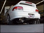 backshot 1.jpg