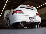 backshot2.jpg