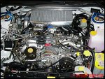 cars040.jpg