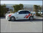 decals1.jpg