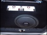 trunkshot 1.jpg