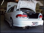 trunkshot 3.jpg