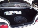 trunkshot2.jpg