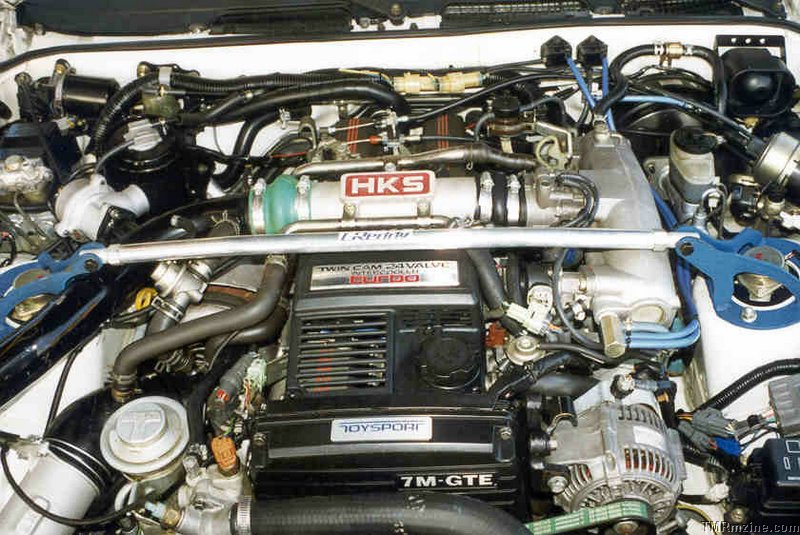supra7.jpg