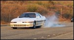 supra1.JPG