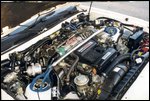 supra6.jpg