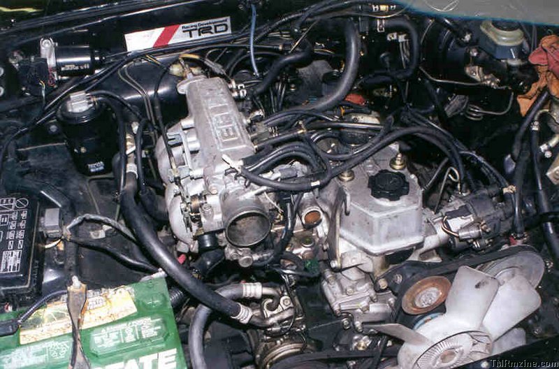 truck6.jpg