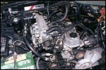 truck6.jpg